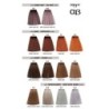 Ab Color chart professional hair cream